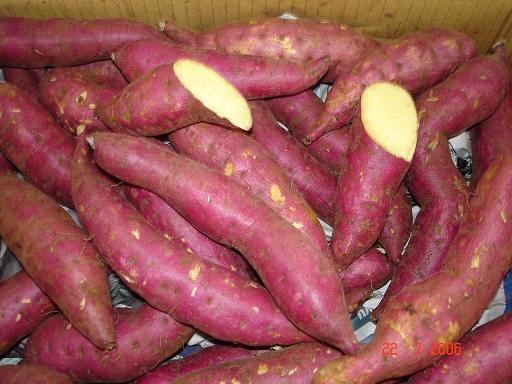 Sweet potato